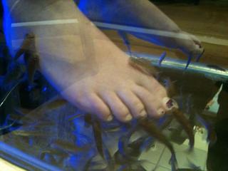 Musetta Vander feet photo 18