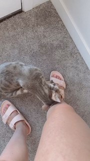 Mykayla Skinner feet photo 1
