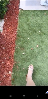 Myrka Dellanos feet photo 8