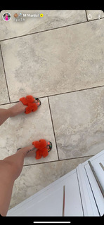 Mélanie Da Cruz feet photo 2
