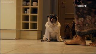 Mónica Cruz feet photo thumbnail