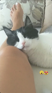 Müjde Uzman feet photo 1