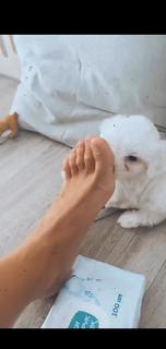 NK feet photo 16
