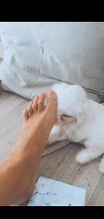 NK feet photo 15