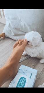 NK feet photo 14