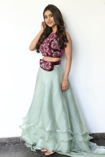 Nabha Natesh feet photo 8