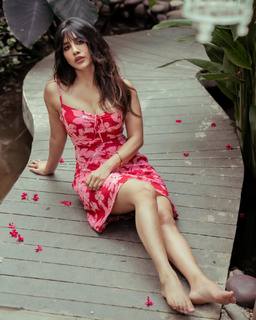 Nabha Natesh feet photo 1