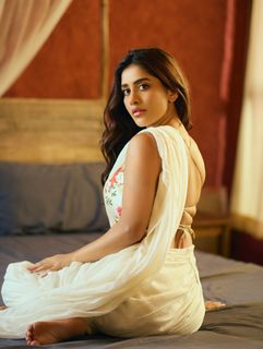 Nabha Natesh feet photo 7