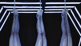 Nadezhda Tolokonnikova feet photo 8
