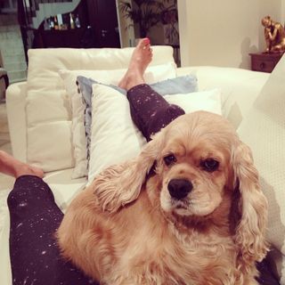 Nadine Elias feet photo 8
