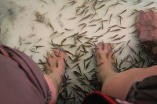 Nadine Sykora feet photo thumbnail