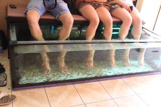 Nadine Sykora feet photo thumbnail