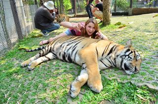 Nadine Sykora feet photo thumbnail