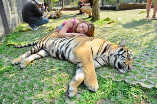 Nadine Sykora feet photo thumbnail