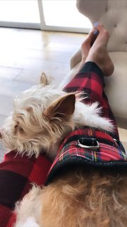 Nadine Velazquez feet photo thumbnail