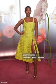 Nafessa Williams feet photo 12