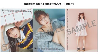 Nagisa Aoyama feet photo 2