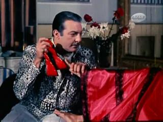 Naglaa Fathy feet photo 1