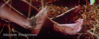 Nagma feet photo 13