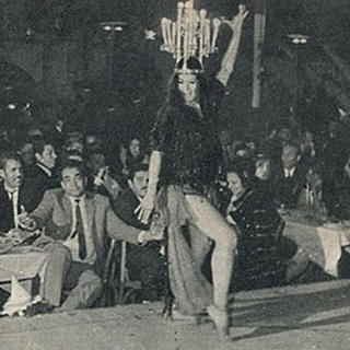 Nagwa Fouad feet photo 17