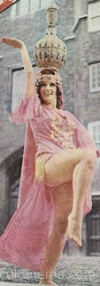 Nagwa Fouad feet photo 7