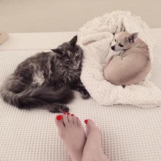 Naike Rivelli feet photo 10