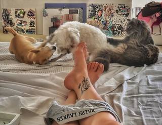 Naike Rivelli feet photo 2