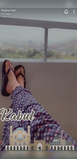 Najeeba Faiz feet photo 17
