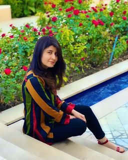 Najeeba Faiz feet photo 4