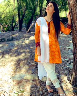 Najeeba Faiz feet photo 19