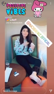 Najeeba Faiz feet photo 19