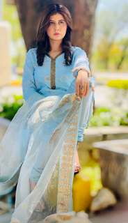 Najeeba Faiz feet photo 17
