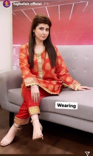 Najeeba Faiz feet photo 13