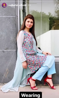 Najeeba Faiz feet photo 8