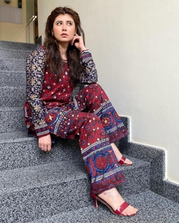 Najeeba Faiz feet photo 7