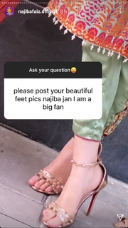 Najeeba Faiz feet photo 18