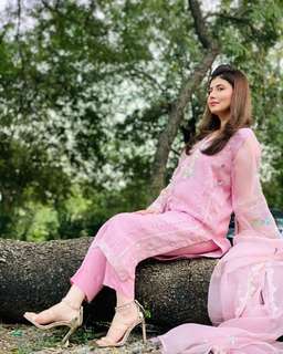 Najeeba Faiz feet photo 18