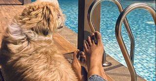 Namitha Pramod feet photo thumbnail