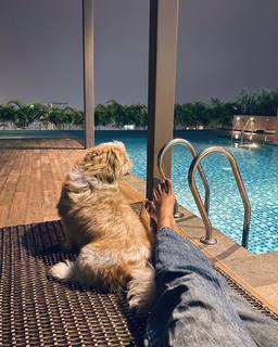 Namitha Pramod feet photo thumbnail