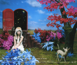 Nana Mizuki feet photo 15