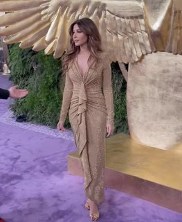 Nancy Ajram feet photo thumbnail