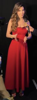 Nancy Ajram feet photo 20