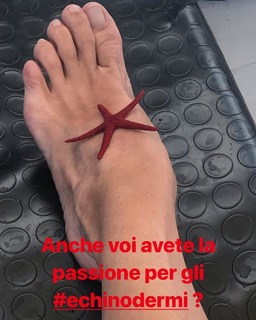 Nancy Brilli feet photo thumbnail