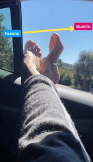 Nancy Brilli feet photo thumbnail