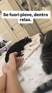 Nancy Brilli feet photo thumbnail