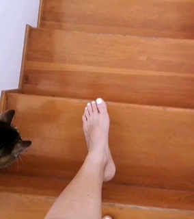 Nandia Boule feet photo 17