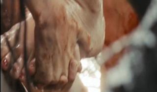 Naomi Watts feet photo thumbnail