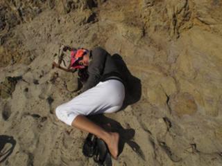 Nargis Fakhri feet photo thumbnail