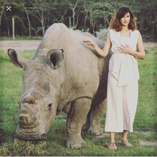 Nargis Fakhri feet photo thumbnail