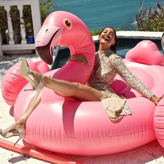 Nargis Fakhri feet photo thumbnail
